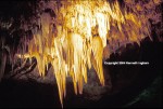 Stalagtite in Carlsbad Cavern